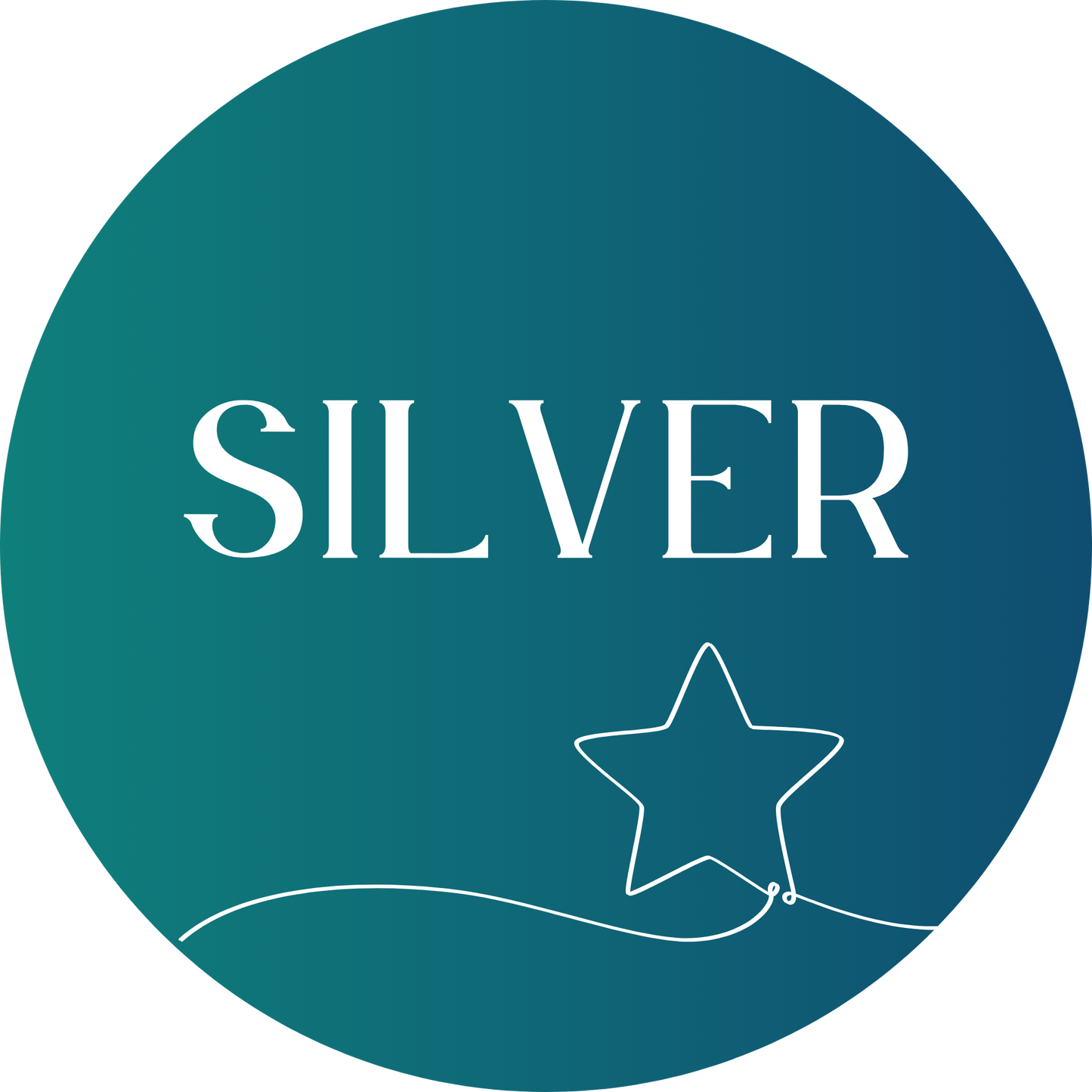 Silver Sponsorship